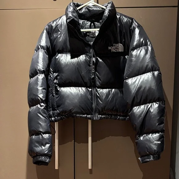The North Face 700 Black Puffer Coat - Picture 1 of 5